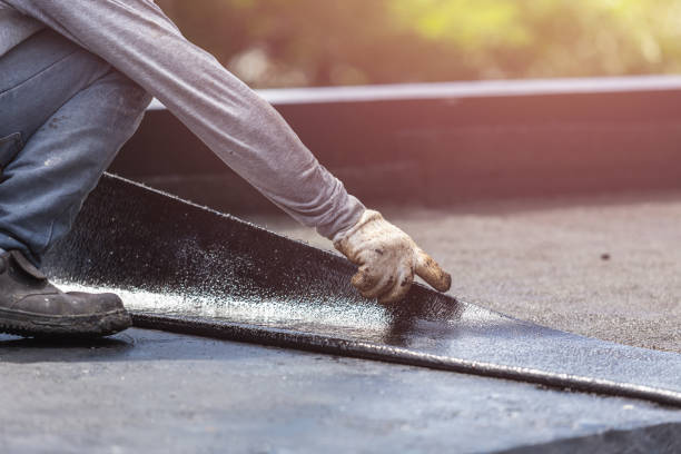 Professional Interior Drainage System technician working in Cambria, IL
